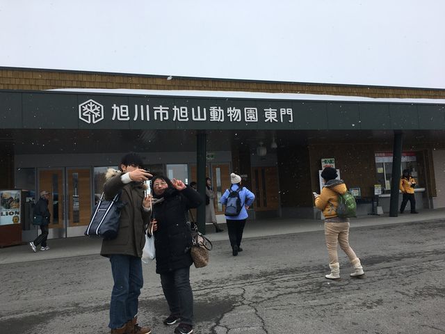 �c�̗p�̓����_���R������