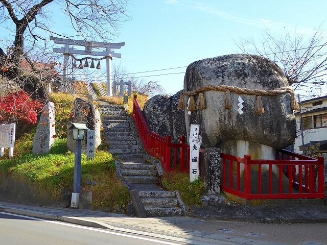 ��X�E�v�w�΍�_�v�w��