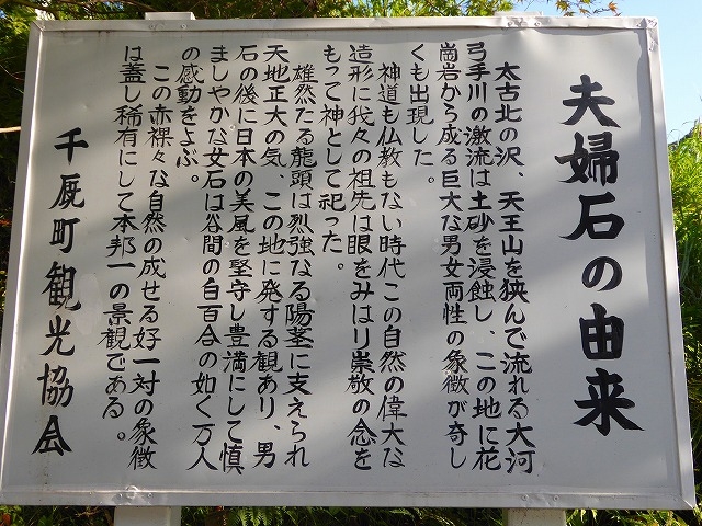 ��X�E�v�w�΍�_�v�w��