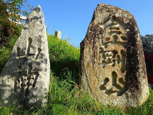 ��X�E�v�w�΍�_�v�w��