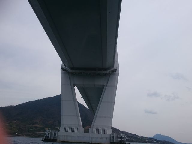 X勴̉BCB_ON[YTۇUcaptain.cook