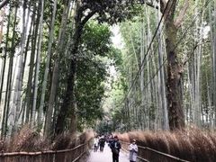 JCg}}̒|т̓ւ̓eʐ^1