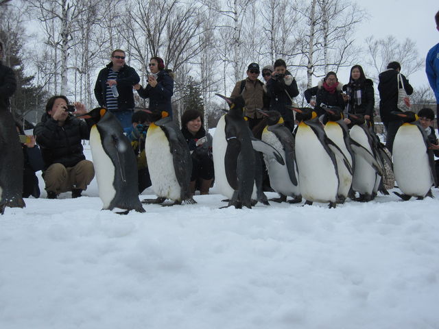 �y���M���p���[�h�͑�l�C_���R������