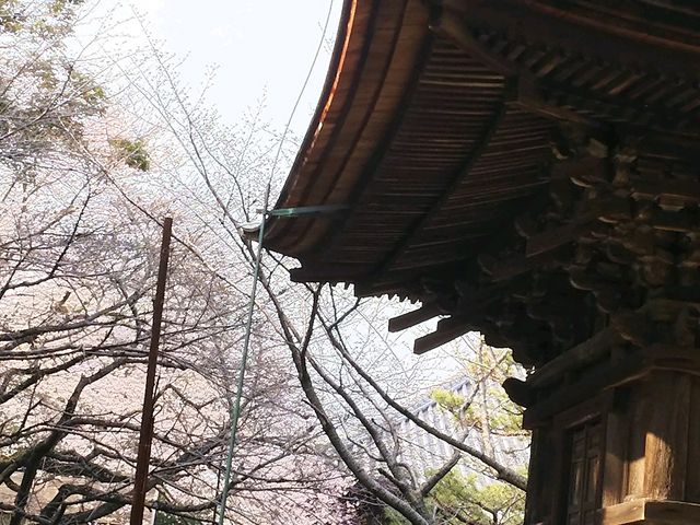 三明寺三重の塔】アクセス・営業時間・料金情報 - じゃらんnet 三明寺三重の塔】アクセス・営業時間・料金情報 - じゃらんnet