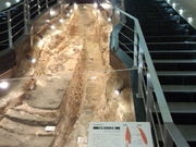 _񂳂̎jՐVrnjH̓eʐ^3