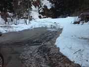 ꂨ񂳂̒q̑i򕌌Rsj̓eʐ^2