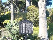 hakoneatami̋ʈ䎛ꗢ˂̓eʐ^2