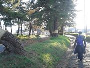 hakoneatami̔X̏؂̓eʐ^1