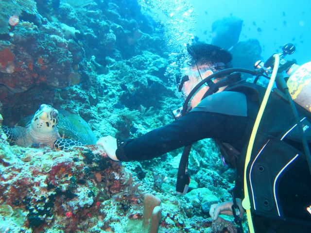 �C���h�l�V�A�̃X���E�F�V�ł́A�����b�ɂȂ�܂����B_�_�C�r���O�V���b�vKIAORA