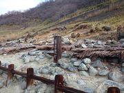 ꂨ񂳂̎E?W]V̓eʐ^4