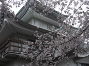 ߂ڂڂ̏qRjق̓eʐ^1