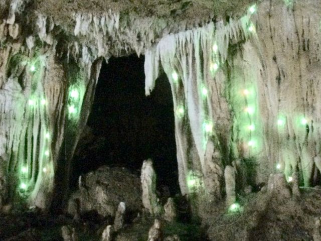 ���C�g�A�b�v���Y��ł���_�Ί_���ߓ���