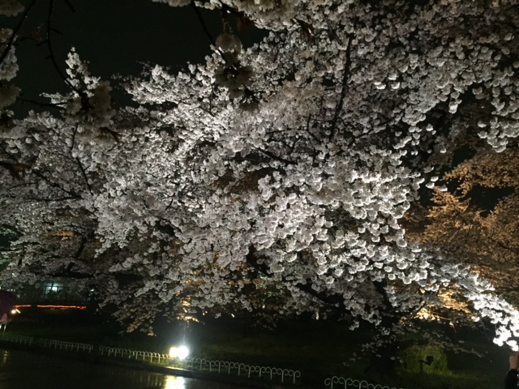 京都府立植物園