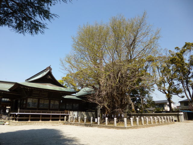 �C�`���E�̑�؂�����܂���_���������{