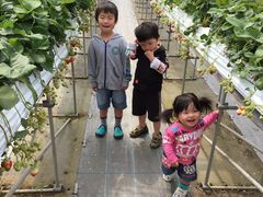 股`}}̃AOp[N݂₨ւ̓eʐ^1