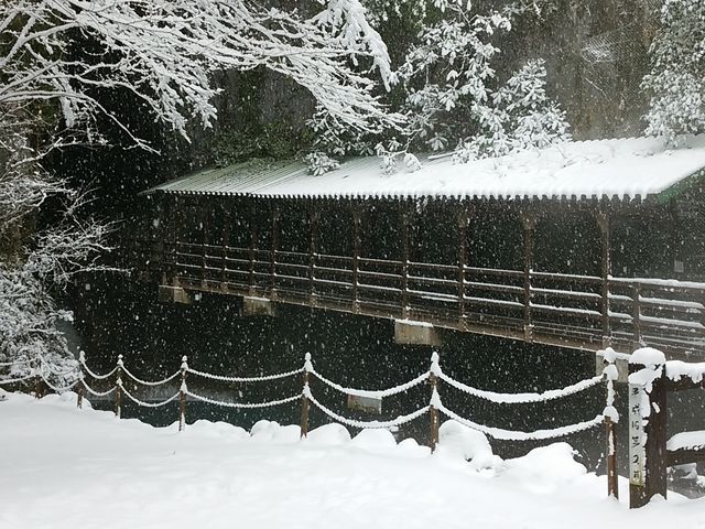 ��̏H�F��_�H�F��