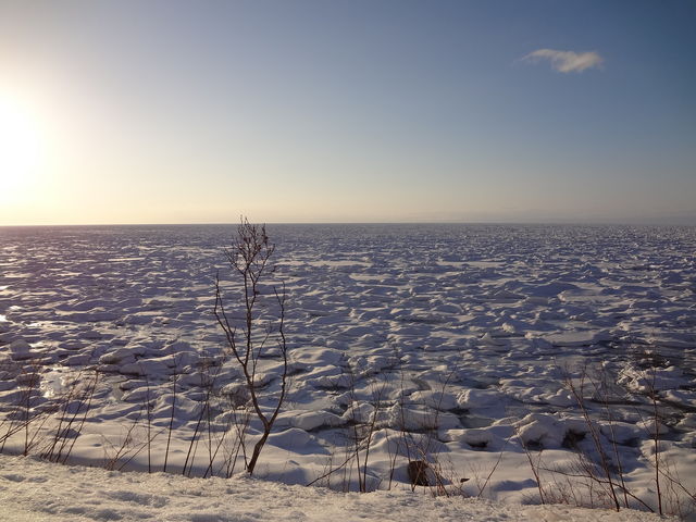 ���������i�ł�_�I�z�[�c�N�C�̗��X