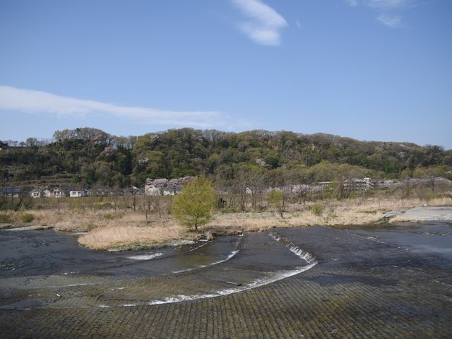 ���R�������ς��ł��B_�H���搅��