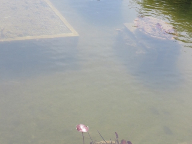 �i�F_�ʊi�{�R�{�����E���䓰