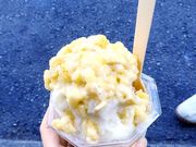 shô܂eqts`r̓eʐ^1