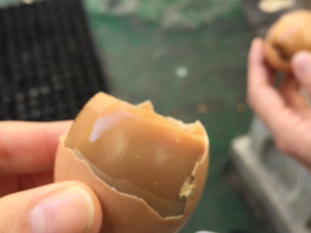 �����ł��܂��A_���܂ǒn��