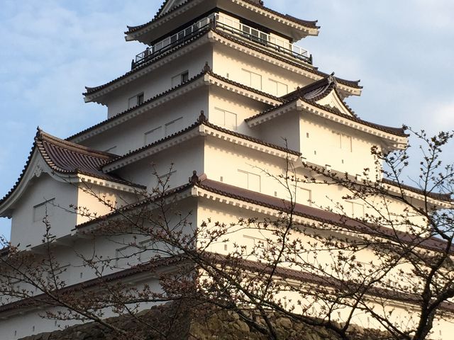 ����ō����炢����΁c_�߃�������̍�