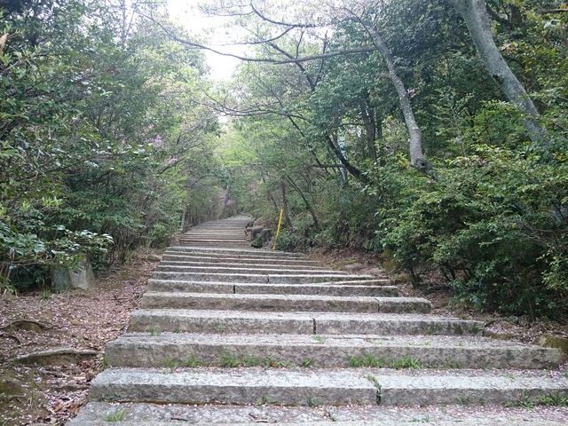 ���̉@�ւ̊K�i_�ŏ���