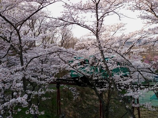 ƌȂłAɃShĂ܂B_D隬̍