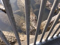 mui����̋S�R�n���ւ̓��e�ʐ^1