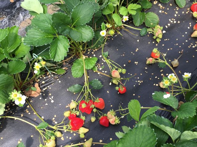 ���������_�����@��{�_��