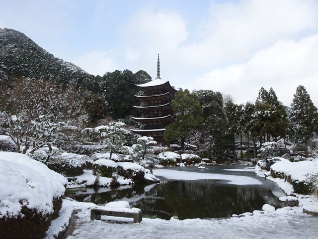 ڗ܏d̐iF͔Nɐx_ڗiRRsj