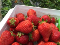 ܂񂳂̎@{_ւ̓eʐ^2