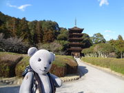 ���ɂ���̗ڗ������i�R�����R���s�j�̓��e�ʐ^1