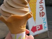 ܂SR̃}LݖLOق̓eʐ^2