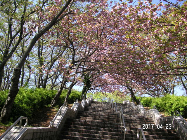 ���̂Q_�d�������������̉�