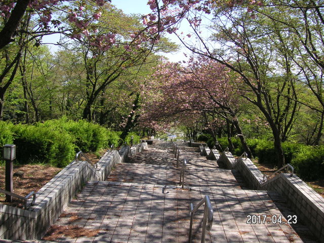 ���̂S_�d�������������̉�