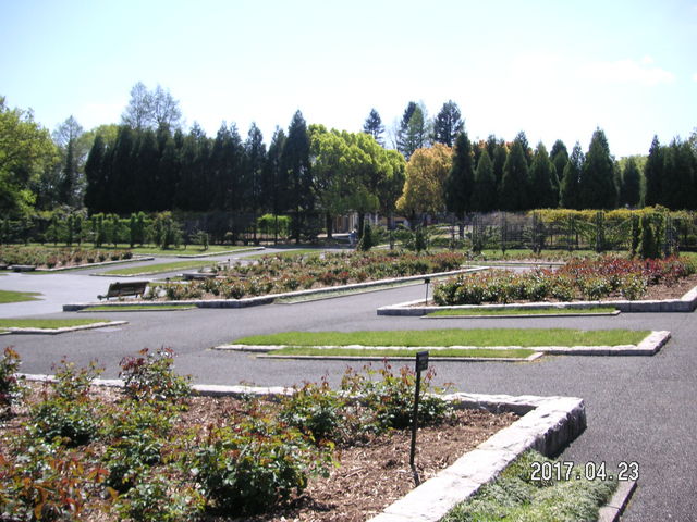 ��_�d����������