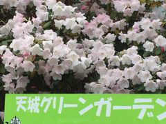 }}̏a̐XVO[K[fւ̓eʐ^2