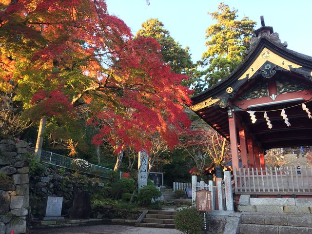 �������g�t_�}�g�R�_��