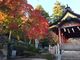 みいさんの筑波山神社の投稿写真1