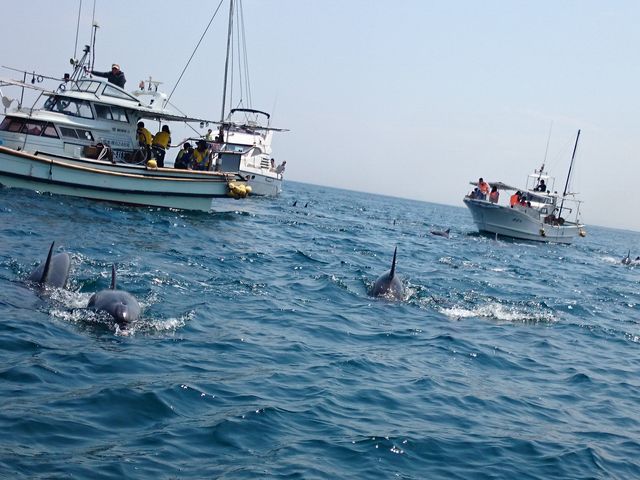 Vɖ{܊یYECJEHb`OZ^[