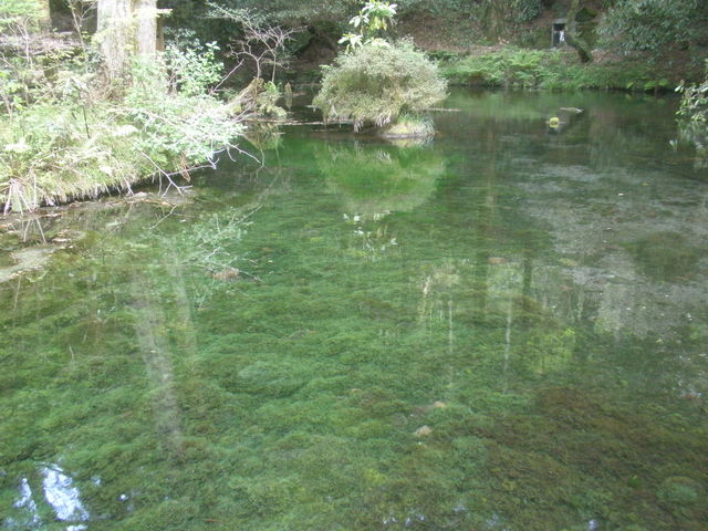 �r�R����