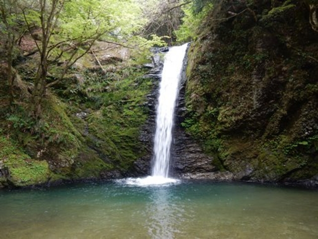 ���J���̂S�̑�̈�u����v_���J��