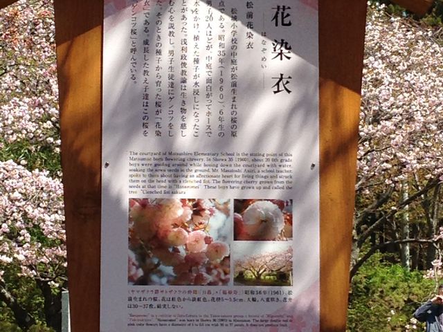 ���̎�ނ��L�ڂ��ꂽ�Ŕ�_���O�����̍�