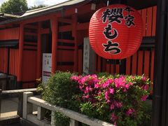 nana����̋Ղ��������ւ̓��e�ʐ^1