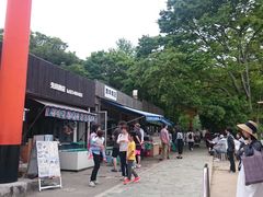 ����̂�������̖��K���X�ւ̓��e�ʐ^1