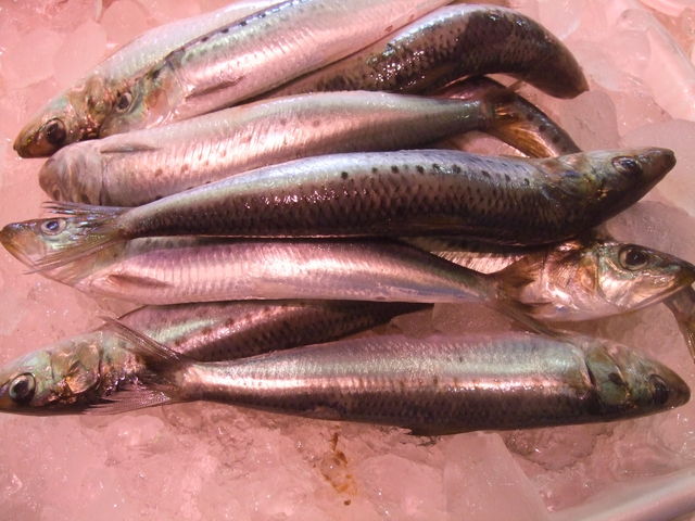 VNȃCV@300~łB_̉w@ȃZ^[