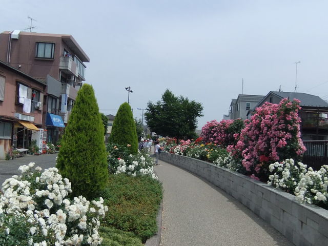 ݂̌PuVՒnEcΒño̓eʐ^1