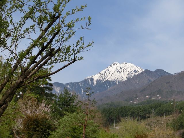 ��O�x_���c�A���v�X���Â݂̌����@�x���E�䍂�n��