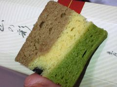 傭̉_n򂽂܂ւ̓eʐ^1